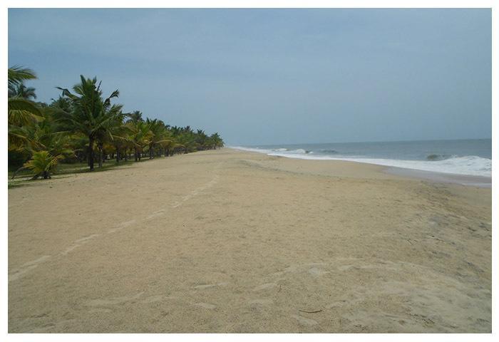 Marari Beach Paradise Mararikulam Buitenkant foto